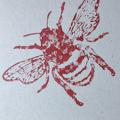 avatar for Draws_Shoots_and_Leaves@bookwyrm.social