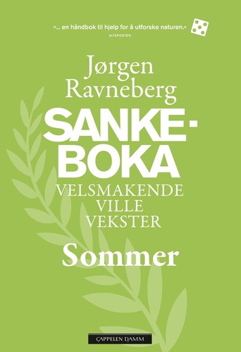 Jørgen Ravneberg: Sankeboka (2022, Cappelen Damm)