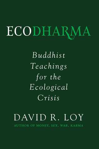 David R. Loy: Ecodharma: Buddhist Teachings for the Ecological Crisis (2019, Wisdom Publications)