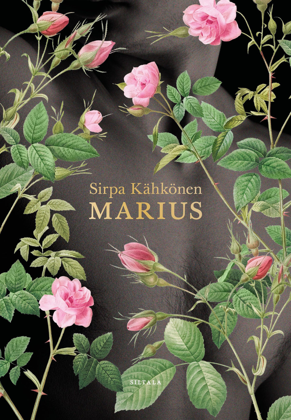 Sirpa Kähkönen: Marius (Hardcover, Finnish language, 2026, Siltala)