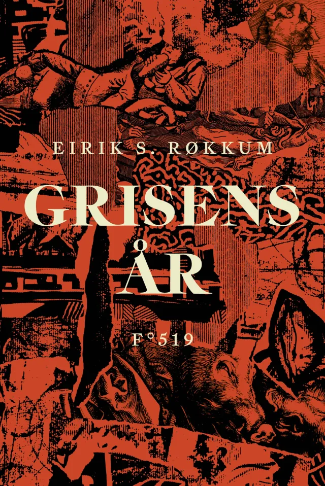 Eirik S. Røkkum: Grisens år (Hardcover, Norsk bokmål language, Flamme Forlag)