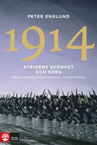 Peter Englund: Stridens skönhet och sorg 1914 (Hardcover, Swedish language, Natur & Kultur)