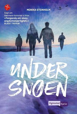 Monika Steinholm: Under snøen (Hardcover, Bokmål language, 2017, Vigmostad Bjørke)