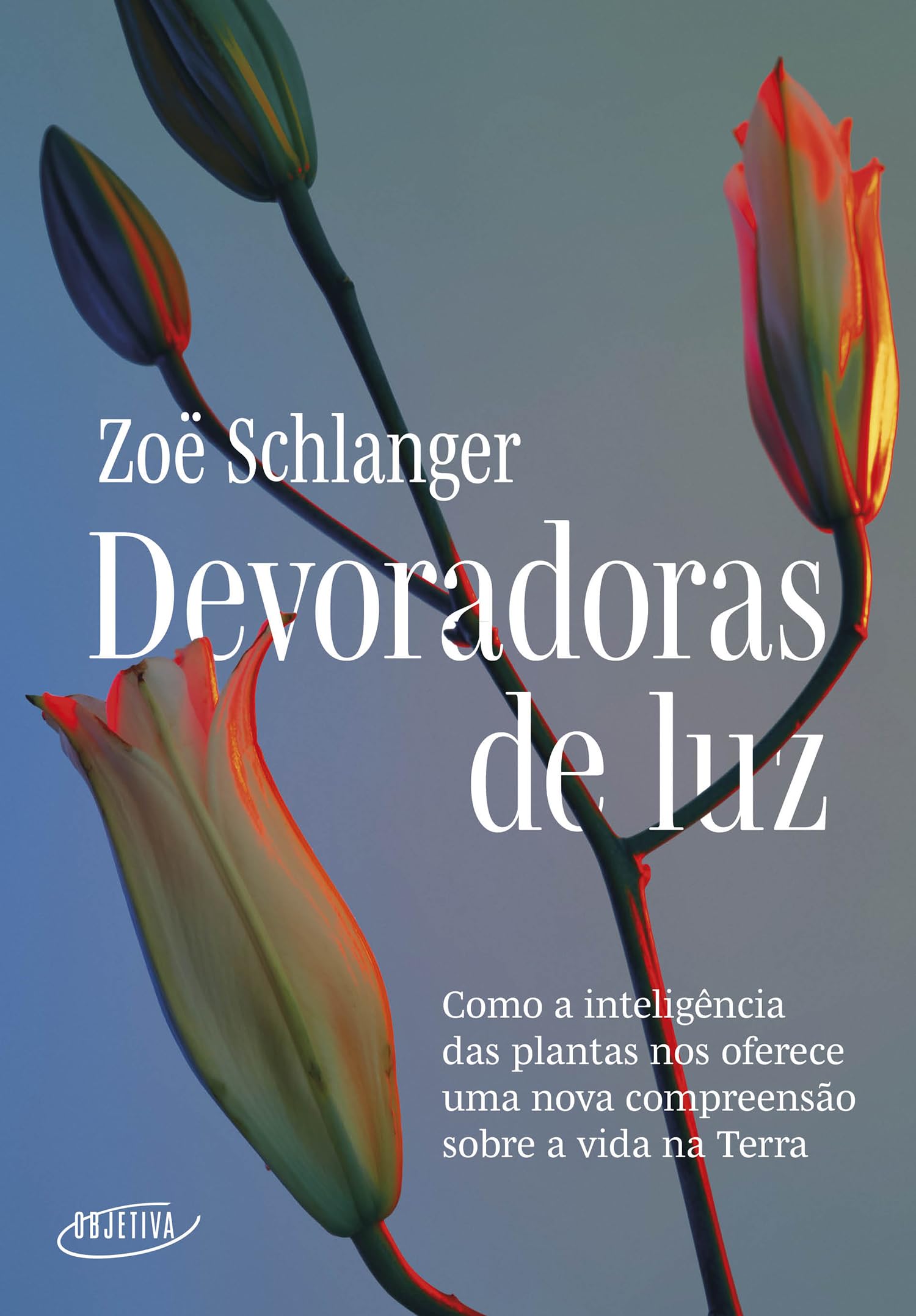 Zoë Schlanger: Devoradoras de luz (português language, Objetiva)