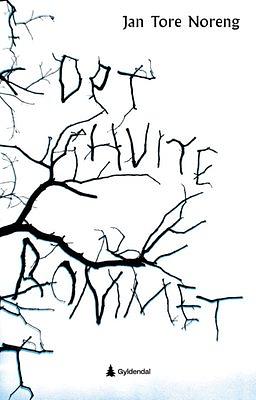 Jan Tore Noreng: Det hvite rommet (Hardcover, bokmål language, 2025, Gyldendal)