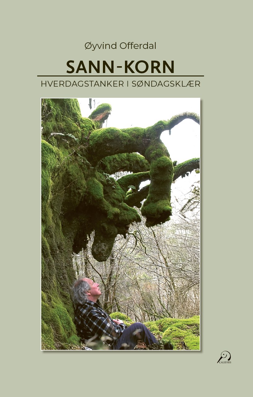 Øyvind Offerdal: Sann-korn (Hardcover, bokmål language, 2025, Calidris)