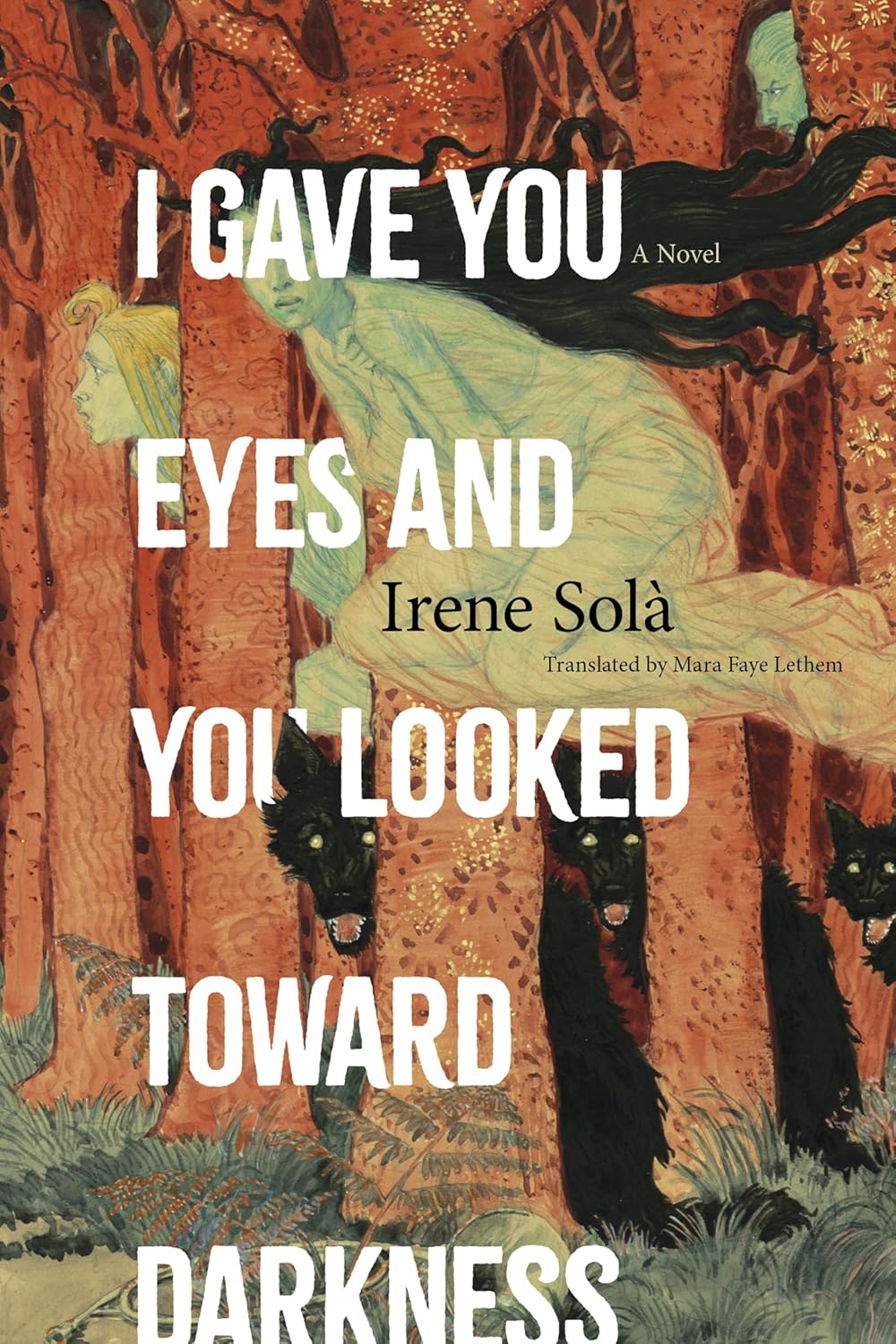 Irene Solà, Mara Faye Lethem: I Gave You Eyes and You Looked Toward Darkness (Paperback, 2025, Graywolf Press)