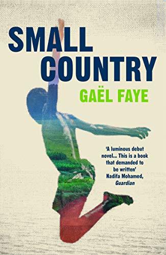 Sarah Ardizzone, Gaël Faye: Small Country (Paperback, 2019, Vintage)