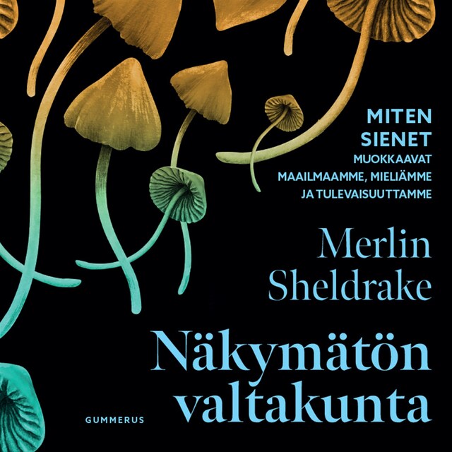 Merlin Sheldrake: Näkymätön valtakunta (Hardcover, 2024, Gummerus)