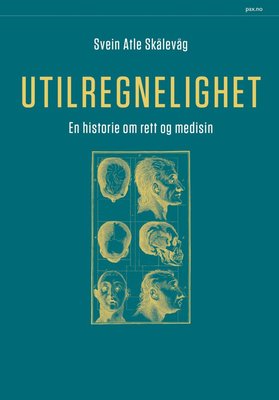 Svein Atle Skålevåg: Utilregnelighet (Norwegian bokmål language, Pax forlag)