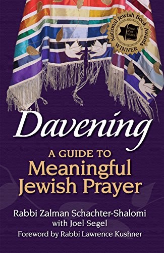 Joel Segel, Rabbi Zalman Schachter-Shalomi, Rabbi Lawrence Kushner: Davening (Hardcover, 2012, Jewish Lights)