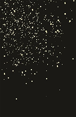 Greg Egan: SCHILD'S LADDER (Paperback, 2007, GOLLANCZ)