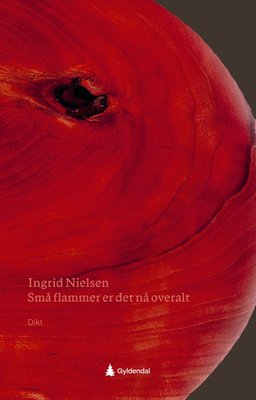 Ingrid Nielsen: Små flammer er det nå overalt (Hardcover, Bokmål language, 2025, Gyldendal)