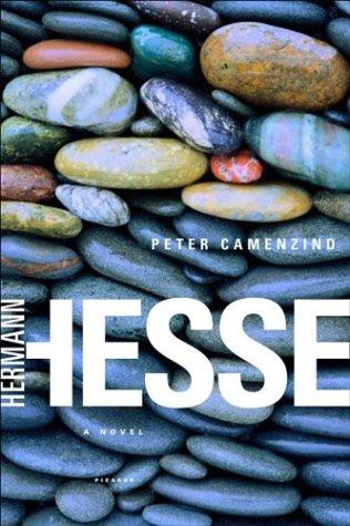 Michael Roloff, Hermann Hesse: Peter Camenzind (Paperback, Picador)