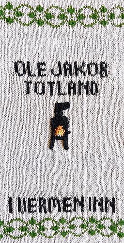 Ole Jakob Totland: I vermen inn (Paperback, nynorsk language, 2025, Norsk bokreidingslag)