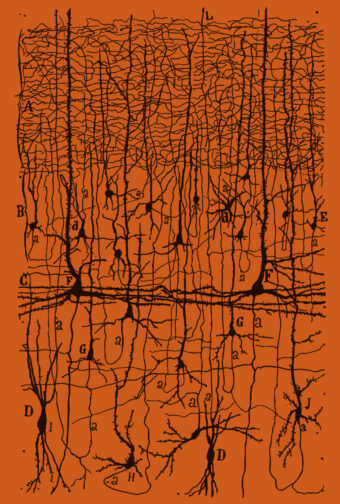 Ivar Orvedal: Parapoetica (Paperback, bokmål language, 2025, Orb Compendium)