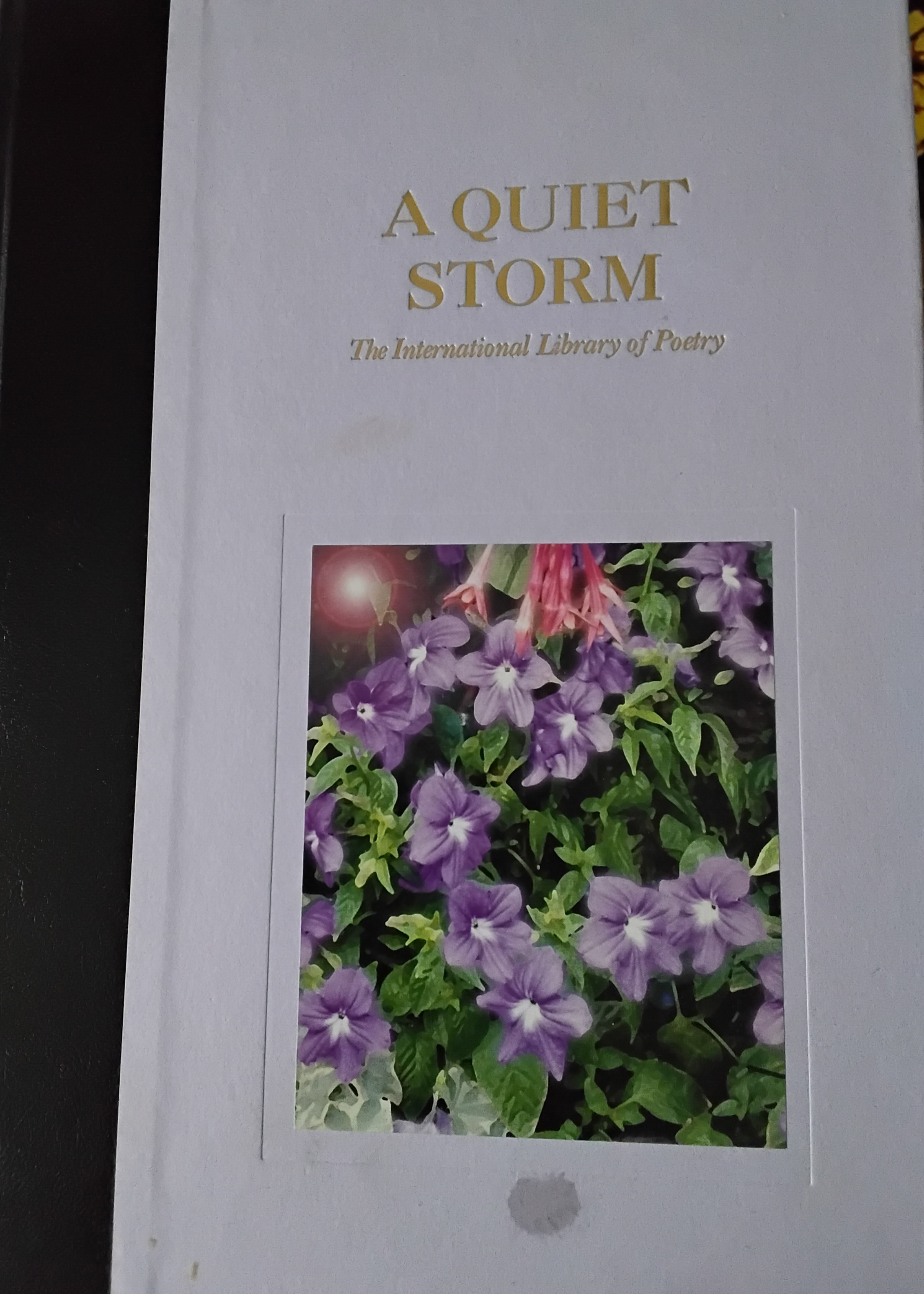 A Quiet Storm (Hardcover, Jeffrey Franz)