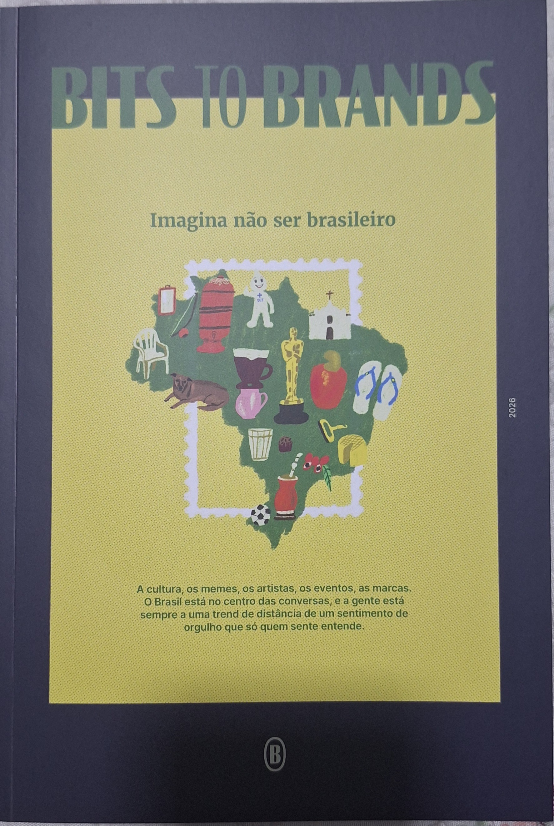 Beatriz Guarezi: Bits to brands (Paperback, Português language, 2026)