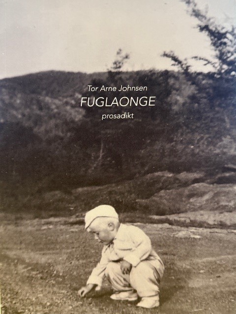 Tor Arne Johnsen: Fuglaonge (Paperback, nynorsk language, 2024, Tekst & musikk)