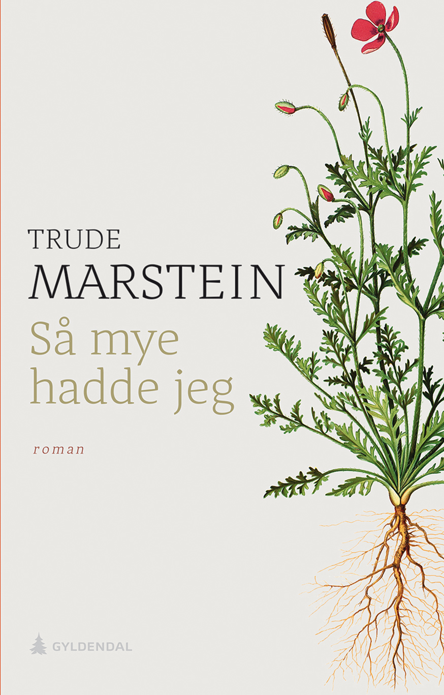 Trude Marstein: Så mye hadde jeg (Paperback, Norsk language, 2019, Gyldendal)