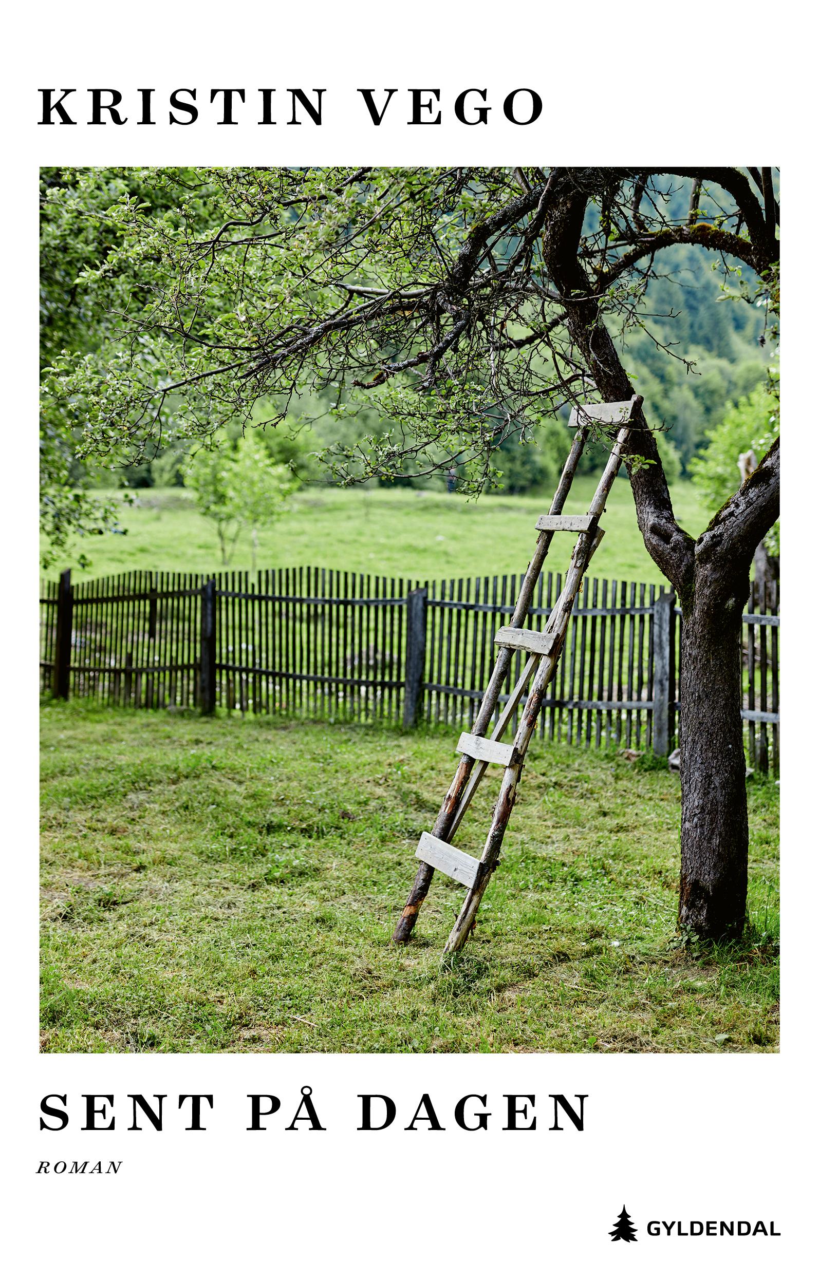 Kristin Vego: Sent på dagen (Hardcover, norsk language, 2024, Gyldendal)